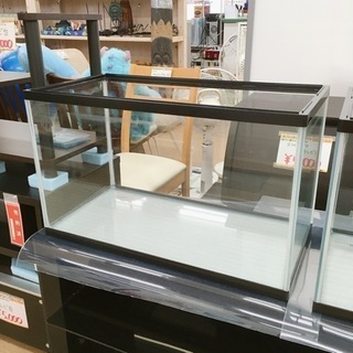 60×30㎝ ガラス水槽✨カルキ汚れあり✨水漏れチェック済✨お店...