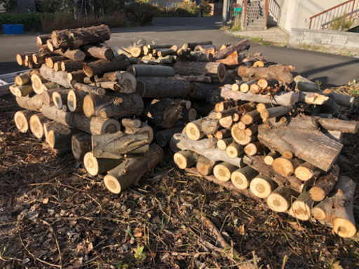 軽トラ2台分　丸太　薪