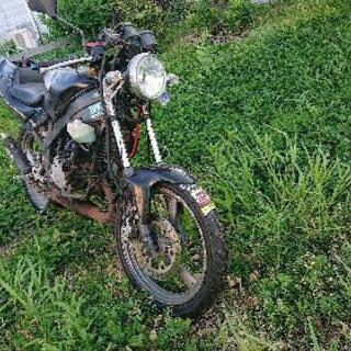 TZR50R
