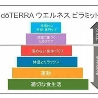 家庭のメディカル精油学基礎科の画像