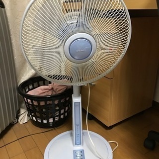 今日 まで/きれいなファン