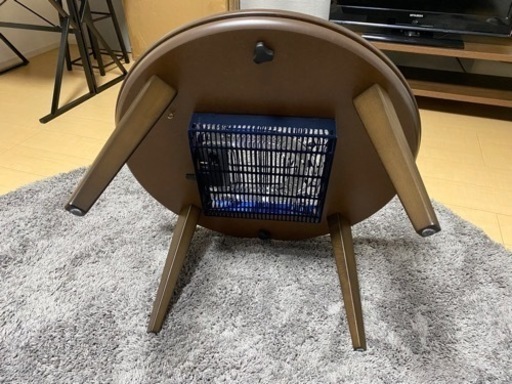 こたつ　円形