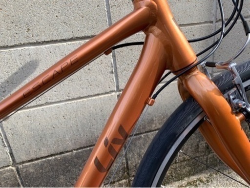 【ジャイアント】新車入荷❗️2022Liv ESCAPE R3W 400mm（XS）ブラウン　若林自転車　膳所SALE❗️