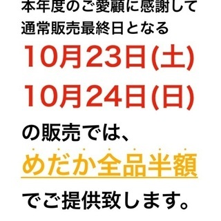 めだか販売【本年最終販売につき全品種半額】東京・杉並 10月23...