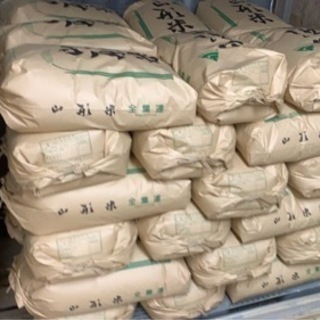 新米▲はえぬき！玄米30kg！引取りのみ！お米！数量限定！