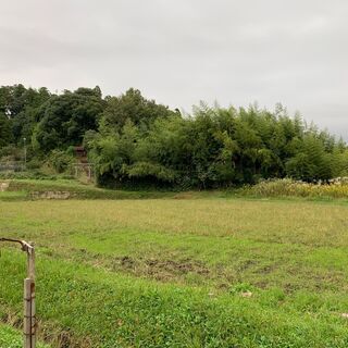 坪1万円　213坪　田園風景の中の売地 - 土地販売/土地売買
