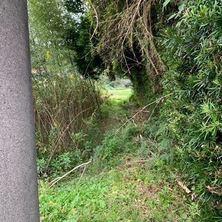 坪1万円　213坪　田園風景の中の売地 - 不動産
