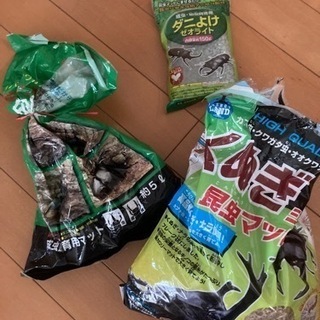 かぶと虫　飼育　3点セット
