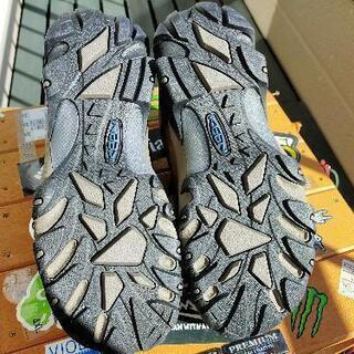 KEEN ターギー(*ˊᵕˋ*)♪の画像