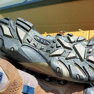 KEEN ターギー(*ˊᵕˋ*)♪の画像
