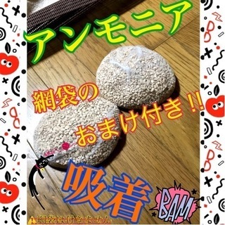 【アクアリウム用品】ゼオライト（発送可）