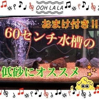 【アクアリウム用品】ゼオライト（発送可）の画像