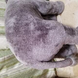 パンダ＆ゾウ ぬいぐるみ?!椅子??の画像