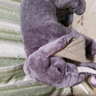パンダ＆ゾウ ぬいぐるみ?!椅子??の画像