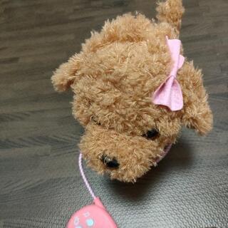 わんわんお散歩の画像