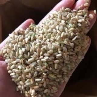 くず米 50kg