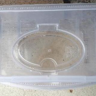 昆虫網、竹❗虫かごです👍の画像
