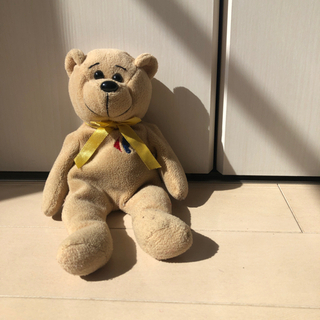 ミニベアーの画像