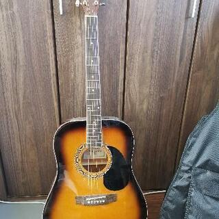 入門用アコースティックギター