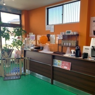 室内型ドッグランオープン