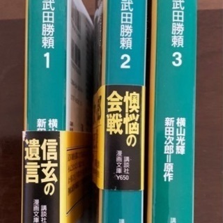 徳川シリーズの画像