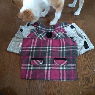 小型犬用、服の画像