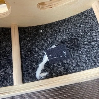猫用キャットホイール(値下げ)の画像