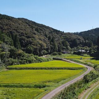 薩摩川内市都町【売止め】農振地域地目田2筆約673坪50万円 - 土地販売/土地売買