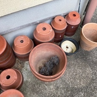 植木鉢　何個でも