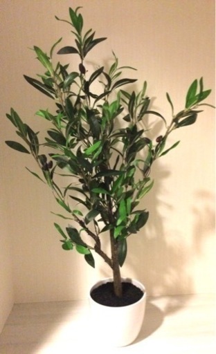フェイクグリーン　オリーブ　人工観葉植物　約82cm