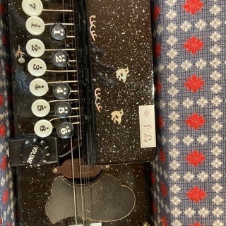 琴伝流　大正琴　千鳥の画像