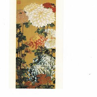 絵ハガキ３枚（葛飾北斎：富士越龍、菊図（右）、菊図（左）（信州小布施 北斎館））の画像