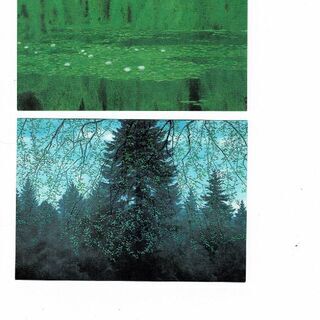 絵画のポストカード（第２４回日展、長野県信濃美術館　東山魁夷館他...