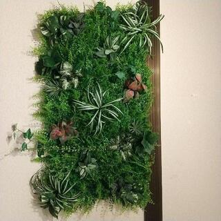 【DIY】ウォールグリーン　50㌢✕100㌢