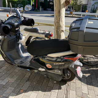 HONDA リードex 110cc 本体の画像