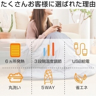 【新品未使用】防寒対策 掛け敷き兼用 電気ブランケット の画像