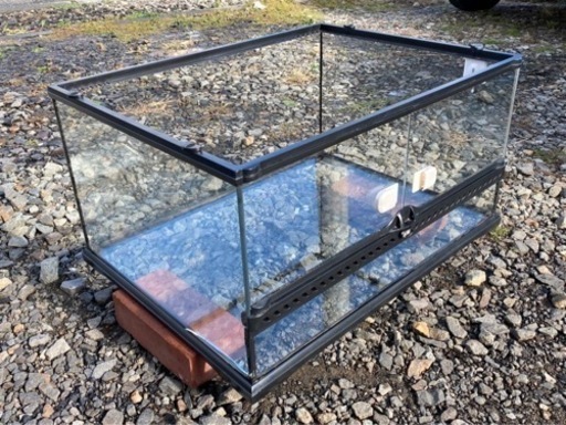 爬虫類飼育セット