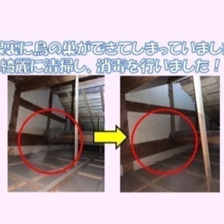 数ある業者様の中から当店をご覧頂きありがとうございます。  【ご挨拶】 店長の井上と申します。 施工実績10年以上！大手駆除業者様で修行をしてきた後に独立いたしました。 色んな害獣、害虫と戦ってきました。 − 大阪府