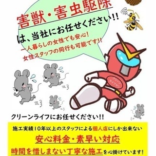 数ある業者様の中から当店をご覧頂きありがとうございます。  【ご挨拶】 店長の井上と申します。 施工実績10年以上！大手駆除業者様で修行をしてきた後に独立いたしました。 色んな害獣、害虫と戦ってきました。 - 害虫/害獣駆除