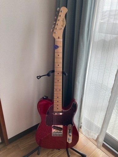 バッカス　nand crafted equipmentとアンプ付き