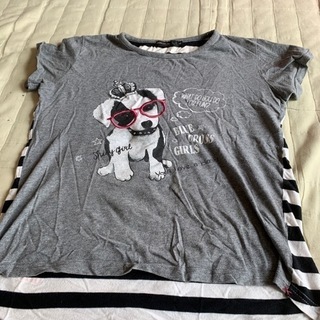犬のかわいいTシャツ