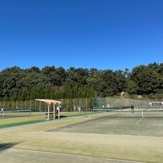 テニスして体動かしませんか？
