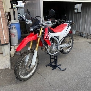 crf250l 