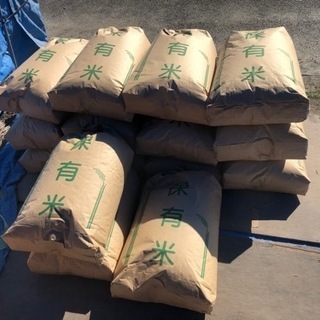 新米　令和3年収穫🌾　ハザ掛米『天竜乙女』玄米30kg