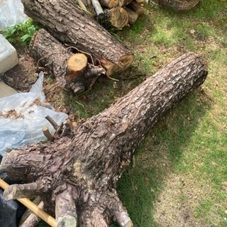 木