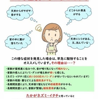 コウモリ・ネズミ・イタチ・ハクビシン・アライグマ・ゴキブリにお困りの方お任せください！！ - 大阪市