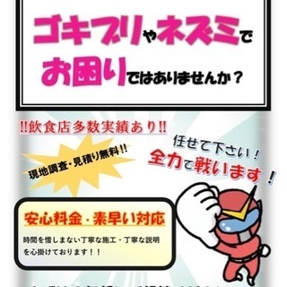 コウモリ・ネズミ・イタチ・ハクビシン・アライグマ・ゴキブリにお困りの方お任せください！！ - 害虫/害獣駆除