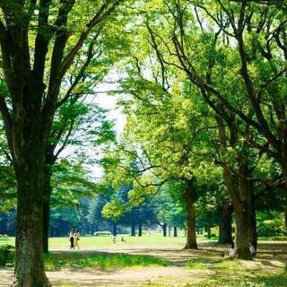 【10/31(日)10:00~初心者歓迎】一緒にバドミントンをしてくれる方、募集します♪ - 渋谷区