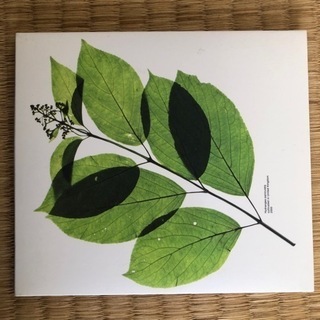 ゆず　シングルCDの画像