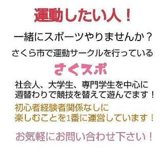 さくら市でバレーやりませんか？